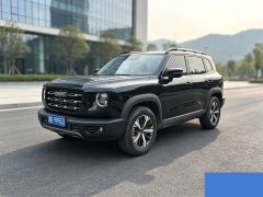 Great Wall Dachshund 1.5T DCT Two-Wheel Drive Border Collie Edition - ფოტო 1