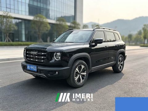 2021 Great Wall Dachshund 1.5T DCT Two-Wheel Drive Border Collie Edition - ავტომობილი ჩინეთიდან