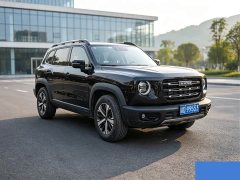 Great Wall Dachshund 1.5T DCT Two-Wheel Drive Border Collie Edition - ფოტო 2