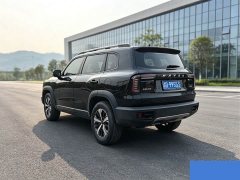Great Wall Dachshund 1.5T DCT Two-Wheel Drive Border Collie Edition - ფოტო 6