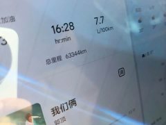 Li Auto L9 2022 Max - ფოტო 6