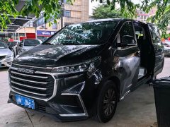 Maxus G20 ES 2.0T Gasoline Automatic Value Edition - ფოტო 10