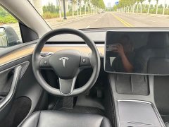 Tesla Model Y Rear-Wheel Drive - ფოტო 14