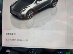 Tesla Model Y Rear-Wheel Drive - ფოტო 17