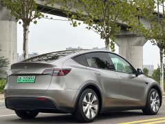 Tesla Model Y Rear-Wheel Drive - ფოტო 5