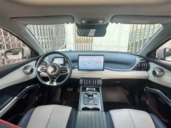 BYD Yuan Plus 430KM Premium Edition - ფოტო 9