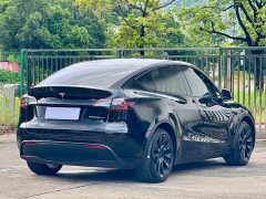 Tesla Model Y Long Range All-Wheel Drive - ფოტო 5