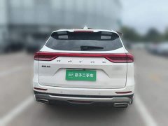 Haval H6 2021 National Trend Edition 1.5T Automatic Urban Version - ფოტო 2