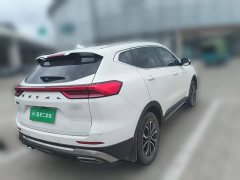 Haval H6 2021 National Trend Edition 1.5T Automatic Urban Version - ფოტო 3