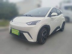 BYD Seagull Freedom Edition - ფოტო 1