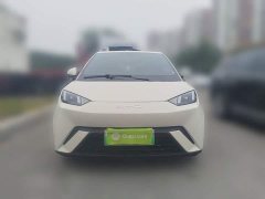 BYD Seagull Freedom Edition - ფოტო 2