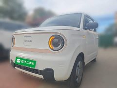 Geely Panda Mini 200km Endurance Edition - ფოტო 1