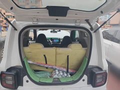 Geely Panda Mini 200km Endurance Edition - ფოტო 15