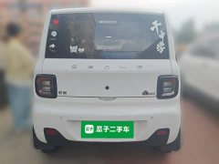 Geely Panda Mini 200km Endurance Edition - ფოტო 3