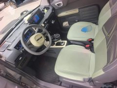 Geely Panda 200km Panda Knight - ფოტო 16