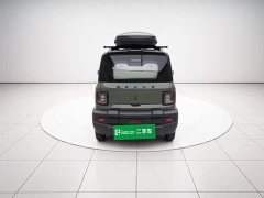 Geely Panda 200km Panda Knight - ფოტო 5