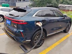 Great Wall WEY Mocha New Energy 2024 Hi4 Long Range - ფოტო 3