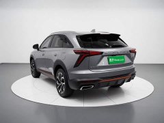 Haval Divine Beast 1.5T Smart Enjoy Edition - ფოტო 5