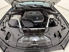 BMW 5 Series Facelift 530Li xDrive M Sport Package - ფოტო 12