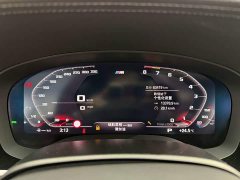 BMW 5 Series Facelift 530Li xDrive M Sport Package - ფოტო 15