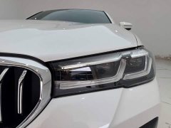 BMW 5 Series Facelift 530Li xDrive M Sport Package - ფოტო 9