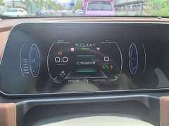 ORA Good Cat 400km Standard Range Deluxe Edition LFP Battery - ფოტო 13