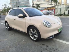 ORA Good Cat 400km Standard Range Deluxe Edition LFP Battery - ფოტო 2