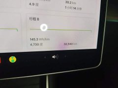 Tesla Model 3 2020 Facelift Standard Range RWD Upgrade - ფოტო 8