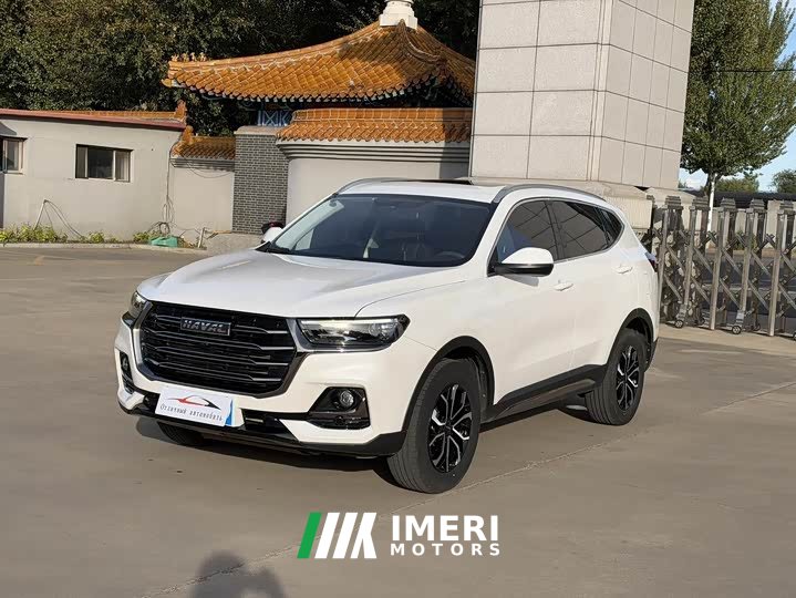 Haval H6 2021 National Trend Edition 1.5T Automatic Urban Version - ავტომობილი ჩინეთიდან