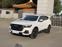 Haval H6 2021 National Trend Edition 1.5T Automatic Urban Version - ფოტო 1