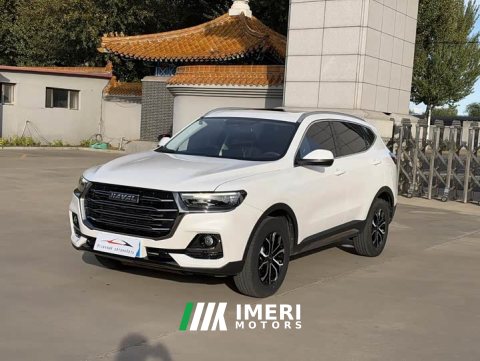 2022 Haval H6 2021 National Trend Edition 1.5T Automatic Urban Version - ავტომობილი ჩინეთიდან