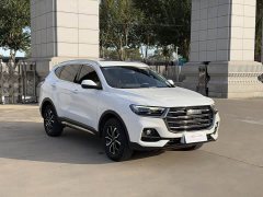 Haval H6 2021 National Trend Edition 1.5T Automatic Urban Version - ფოტო 3