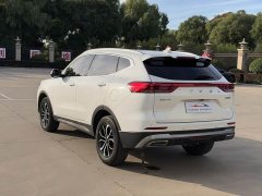 Haval H6 2021 National Trend Edition 1.5T Automatic Urban Version - ფოტო 4