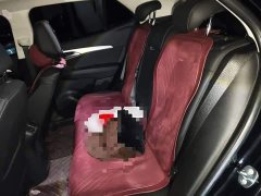 Buick Encore GX S 25T Enjoy Platinum Edition - ფოტო 13