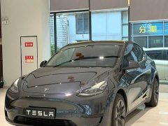 Tesla Model Y Rear-Wheel Drive - ფოტო 1