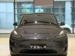 Tesla Model Y Rear-Wheel Drive - ფოტო 2