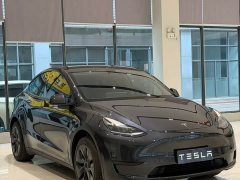 Tesla Model Y Rear-Wheel Drive - ფოტო 3