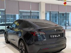 Tesla Model Y Rear-Wheel Drive - ფოტო 8
