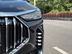 Jetour Jietu X70 PLUS Champion Edition 1.5T DCT Champion MAX 7-Seater - ფოტო 7