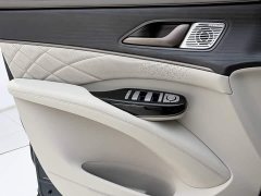 Denza BYD Denza D9 2022 DM-i 970 AWD Premium Edition - ფოტო 17