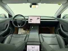 Tesla Model 3 Long Range All-Wheel Drive - ფოტო 13