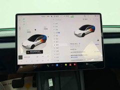 Tesla Model 3 Long Range All-Wheel Drive - ფოტო 15