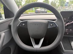 Tesla Model Y Rear-Wheel Drive - ფოტო 12