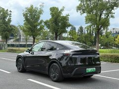 Tesla Model Y Rear-Wheel Drive - ფოტო 6