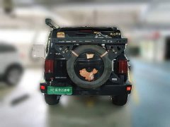 Tank 300 2021 Off-Road Edition 2.0T Conqueror - ფოტო 3