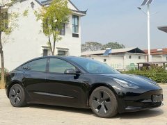 Tesla Model 3 Standard Range RWD Upgrade - ფოტო 1
