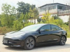 Tesla Model 3 Standard Range RWD Upgrade - ფოტო 3