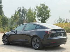 Tesla Model 3 Standard Range RWD Upgrade - ფოტო 4