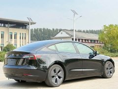 Tesla Model 3 Standard Range RWD Upgrade - ფოტო 6
