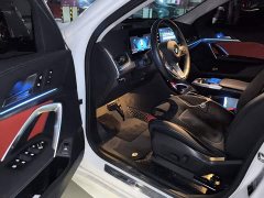 BMW X2 (Imported) sDrive25i M Sport Package - ფოტო 12